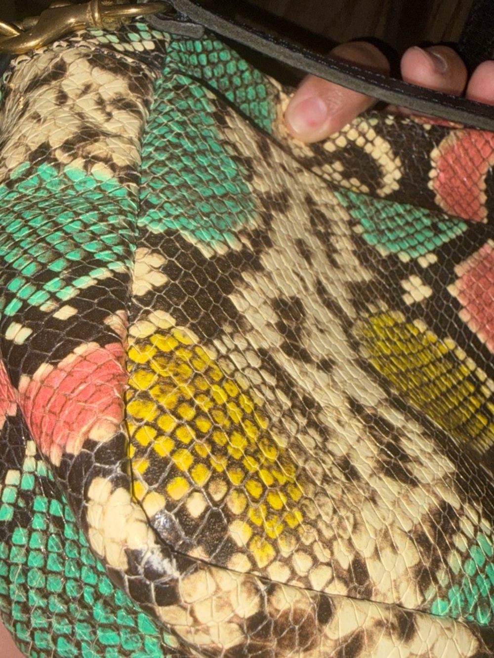 Clare V. Multicolor Snakeskin-Print Clutch/Crossbody - Picture 8 of 9